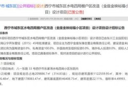 水电最新爆料消息,揭秘行业变革背后的秘密与机遇